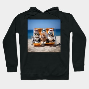 Cats On A Deckchair Sunbathing Wearing Sun Glasses Hoodie